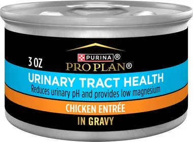 Can of Purina Pro Plan Focus Adult Urinary Tract Health Formula Chicken Entree in Gravy cat food.