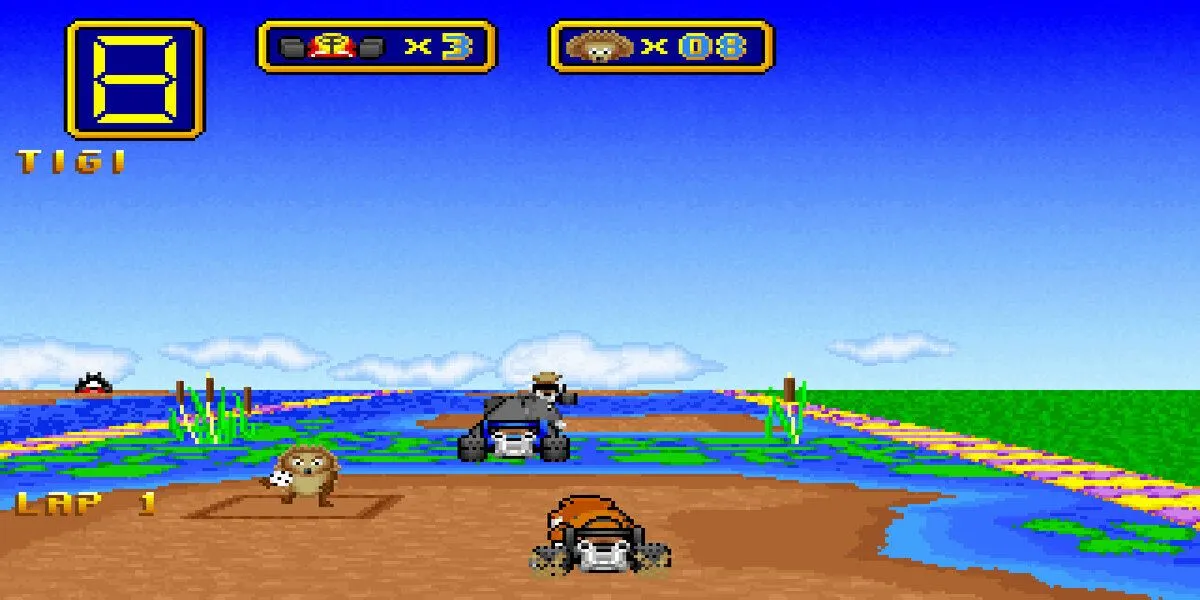 Cars racing each other with a hedgehog on the track