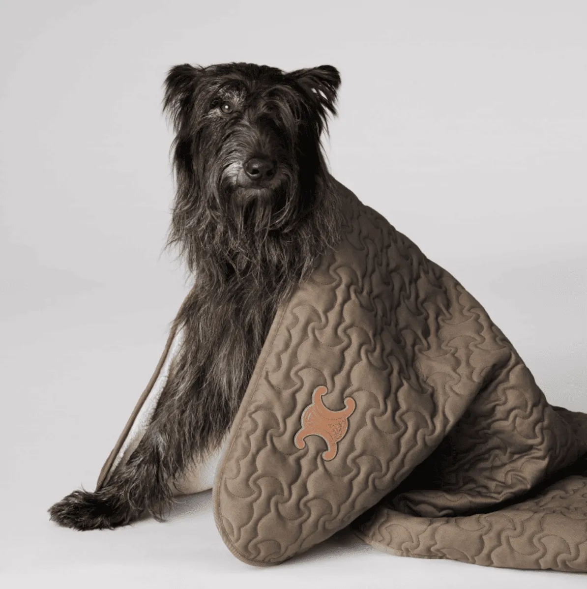 Celine dog bowl and accessories