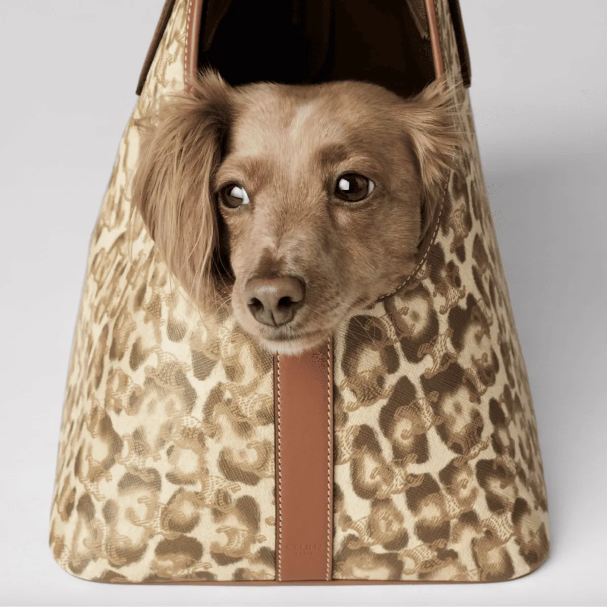 Celine dog collar and leash set