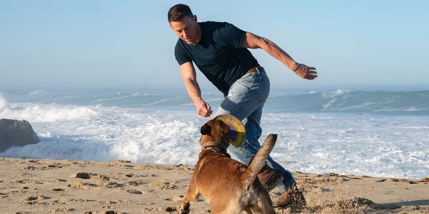 Channing Tatum playing with Lulu on the beach in Dog.