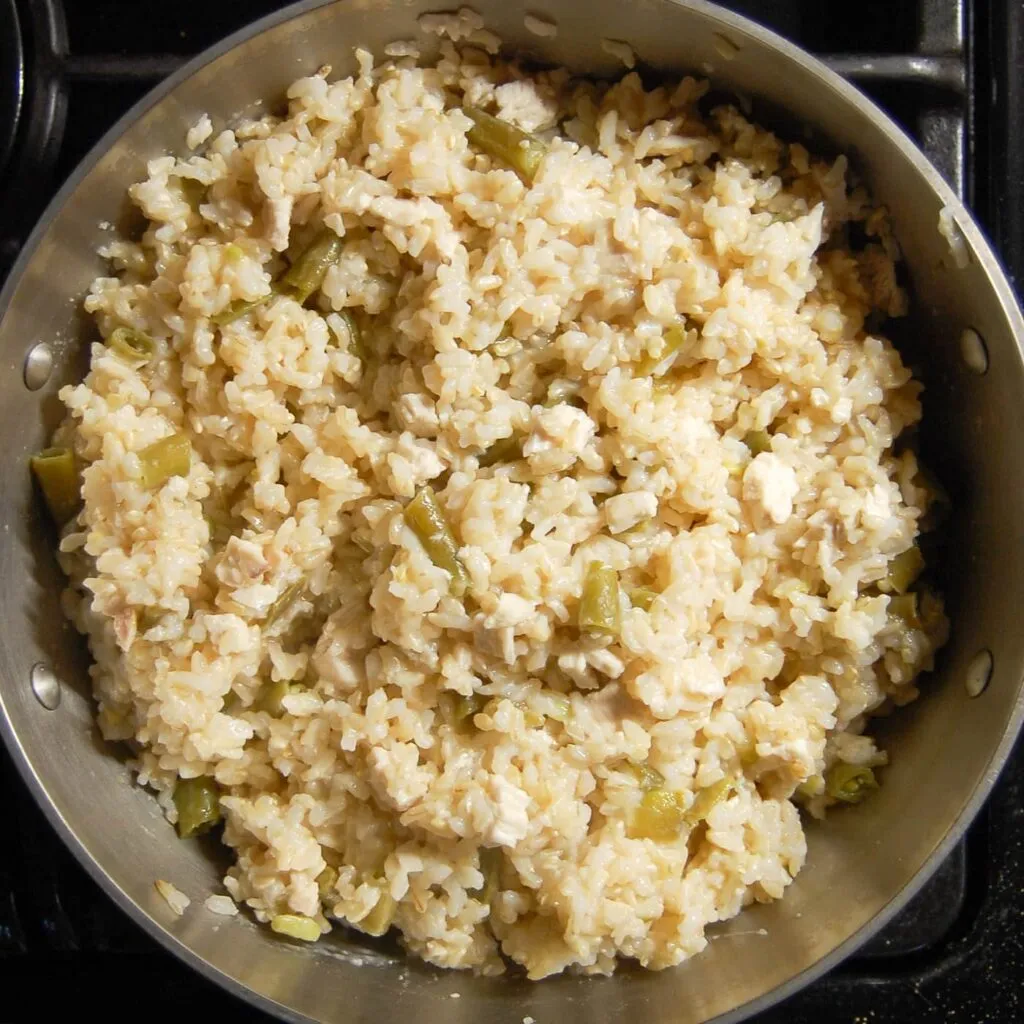 Chicken and rice for dogs with cut-up green beans and chicken breast stirred together