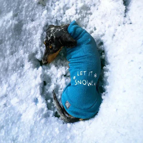 Christmas Dachshund Jumpers