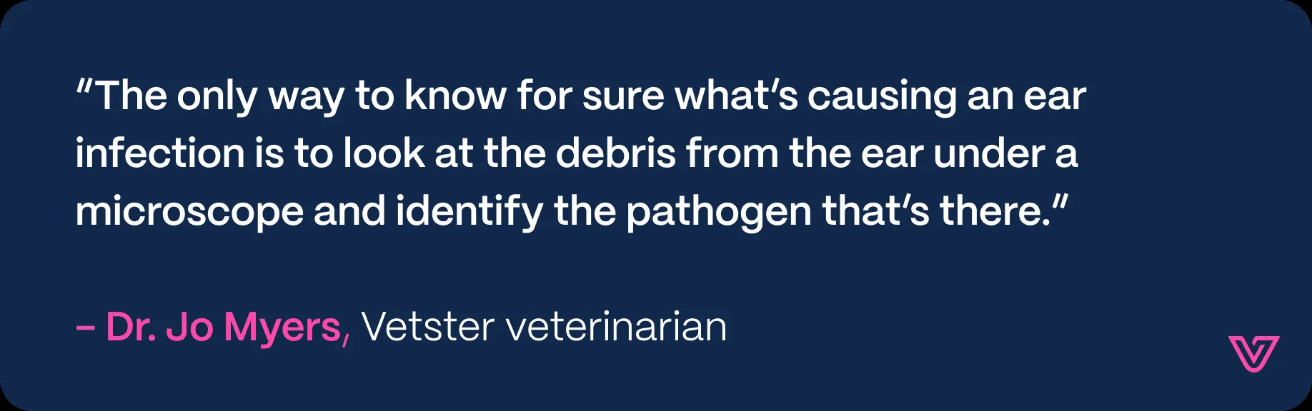 Close-up of a dog's ear, showing signs of ear mite infestation