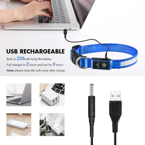 Close-up of a USB charging port on a dog collar, with a USB cable connected.