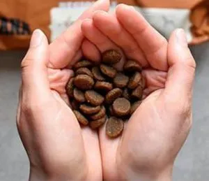 Close-up of ACANA dog food kibble