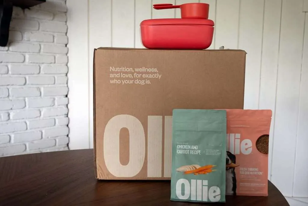 Close-up of Ollie's baked dog food kibble with fresh ingredients