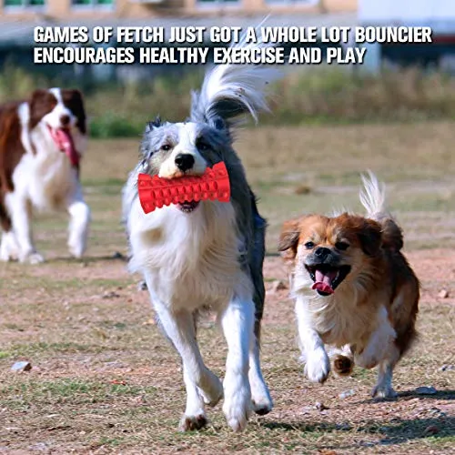 Close-up of the durable red Vanfine squeaky dog toy after extensive chewing by active dogs