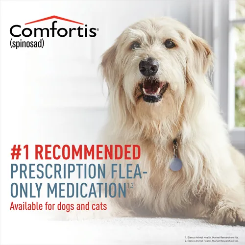 Comfortis chewable tablet packaging for dogs and cats, featuring a veterinarian-recommended prescription flea control solution.