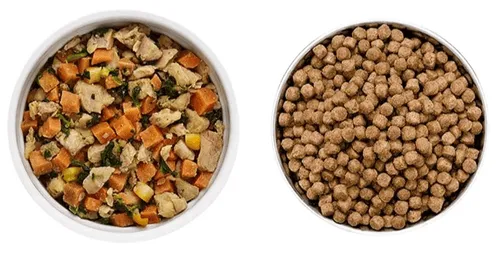 Comparison between fresh wet dog food and dry kibble