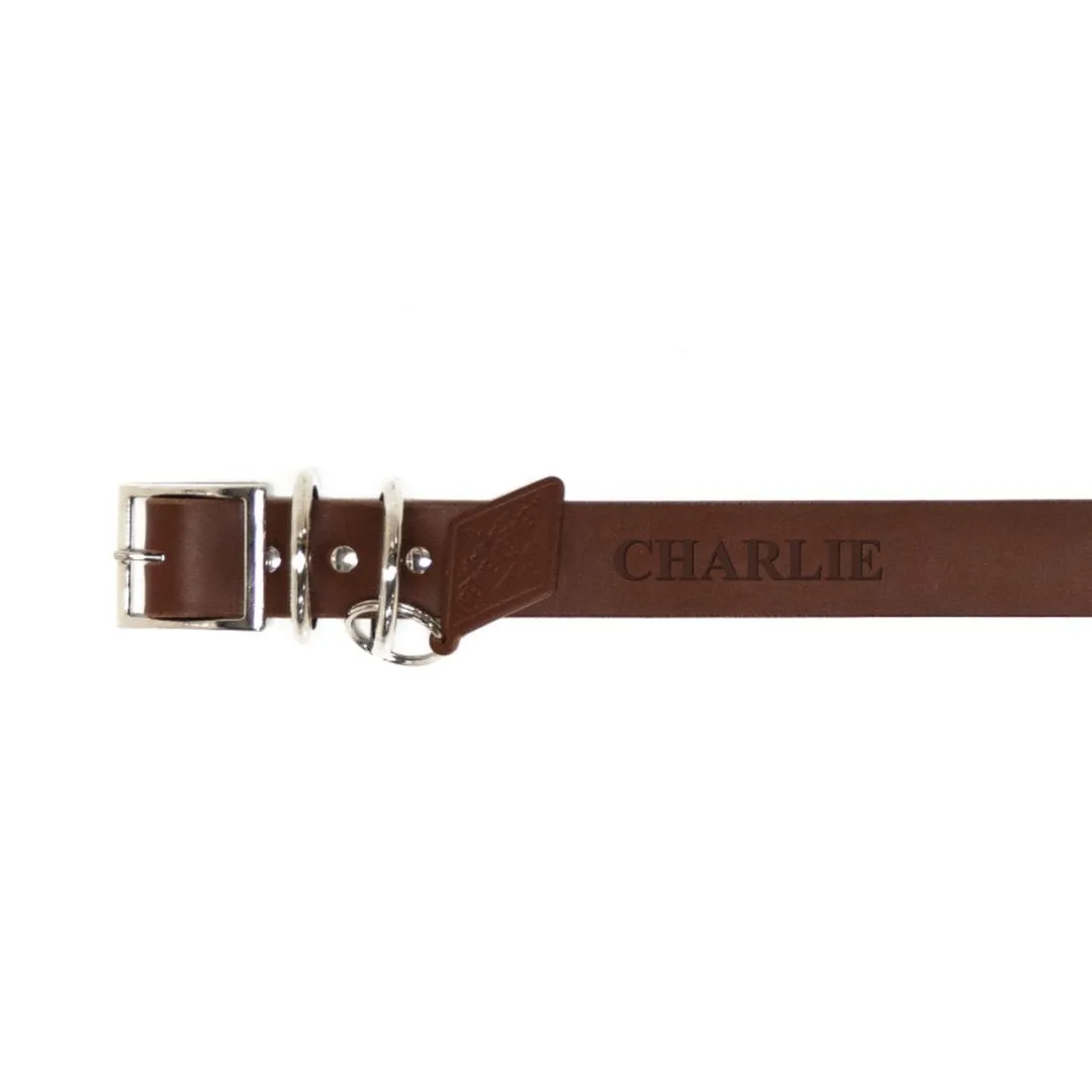 Coolest Canine Leather Dog Collar