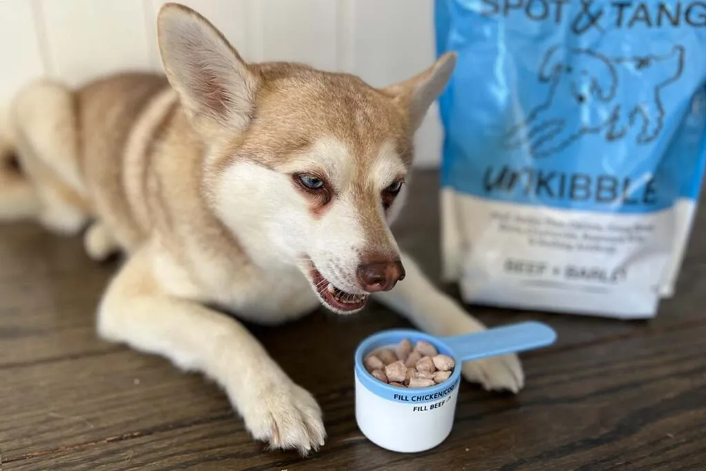Copper and UnKibble dog food