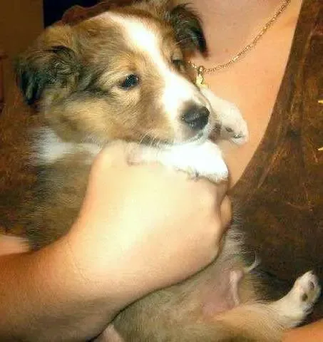 Copper demands that you squish his little belly. Go on, it's brilliant.