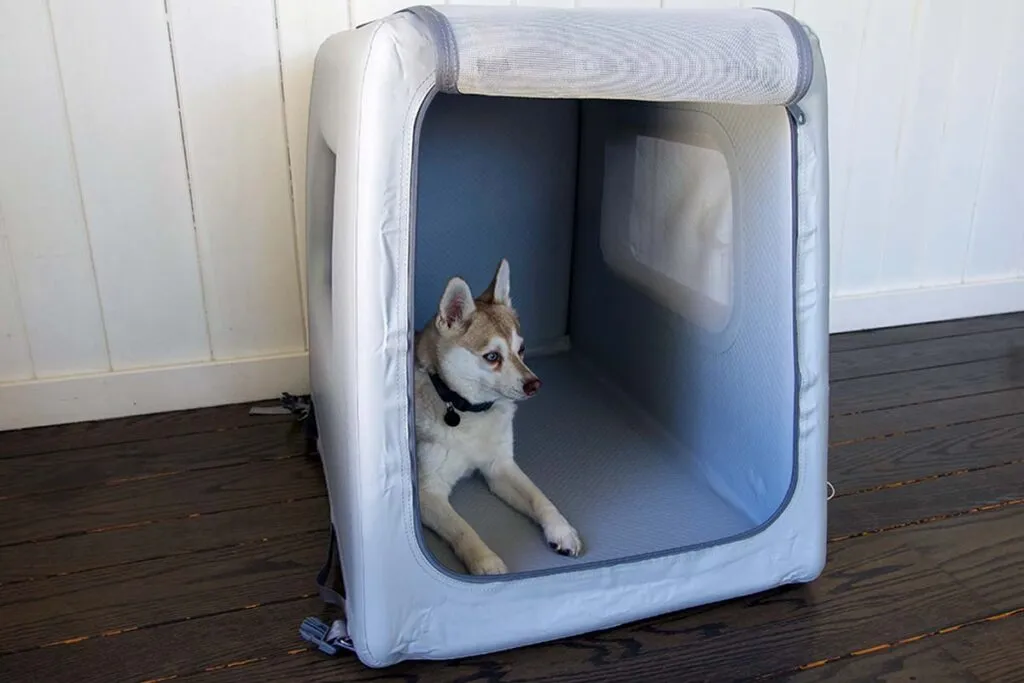 Copper in his Enventur Travel Kennel