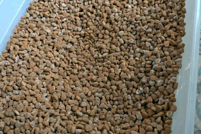 Corn starch mixed in with dog food
