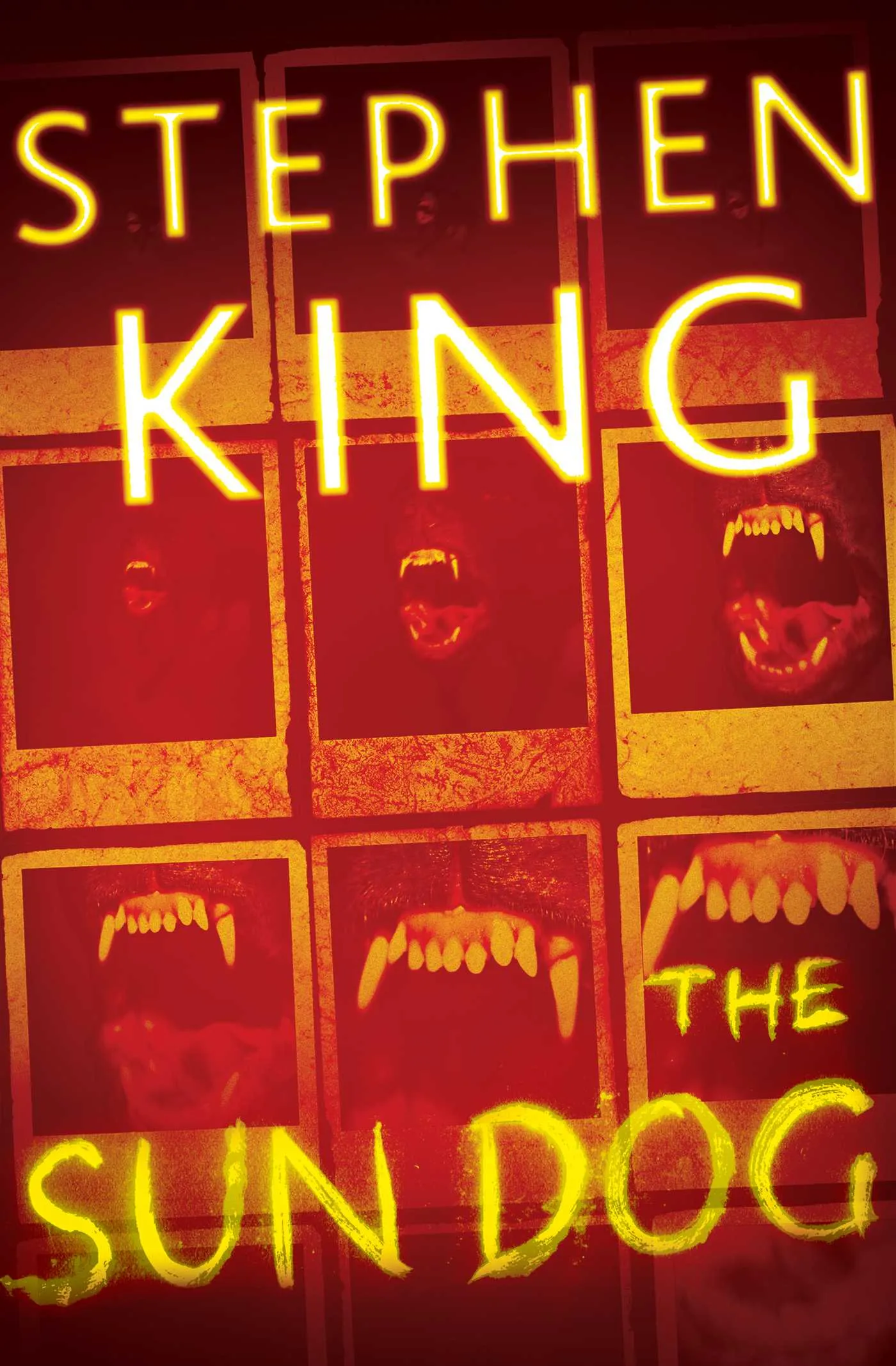 Cover art for Stephen King's 2018 edition of The Sun Dog novella, featuring a sinister black dog.