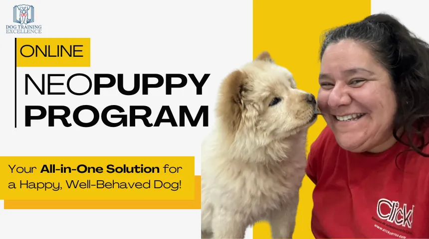Cover image for the NeoPuppy Program by Dr. Natalia Rozas, an online puppy training course