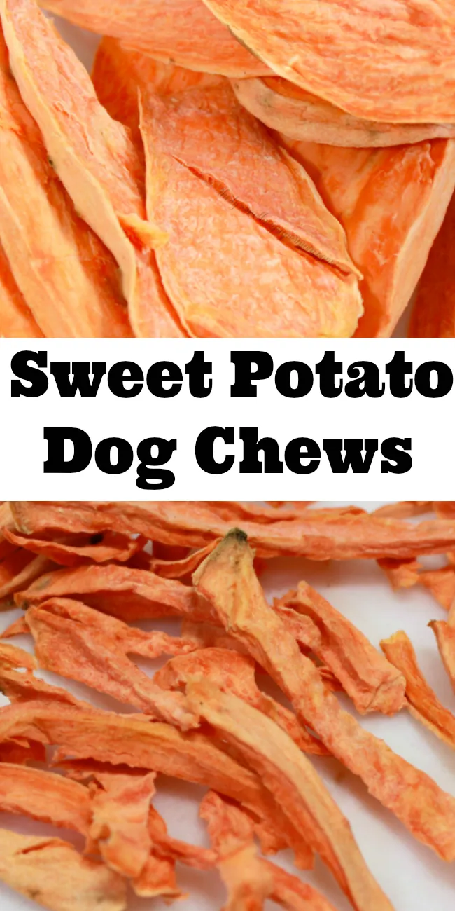 Crispy air fryer sweet potato dog treats arranged neatly on a parchment paper-lined baking sheet, ready for serving.