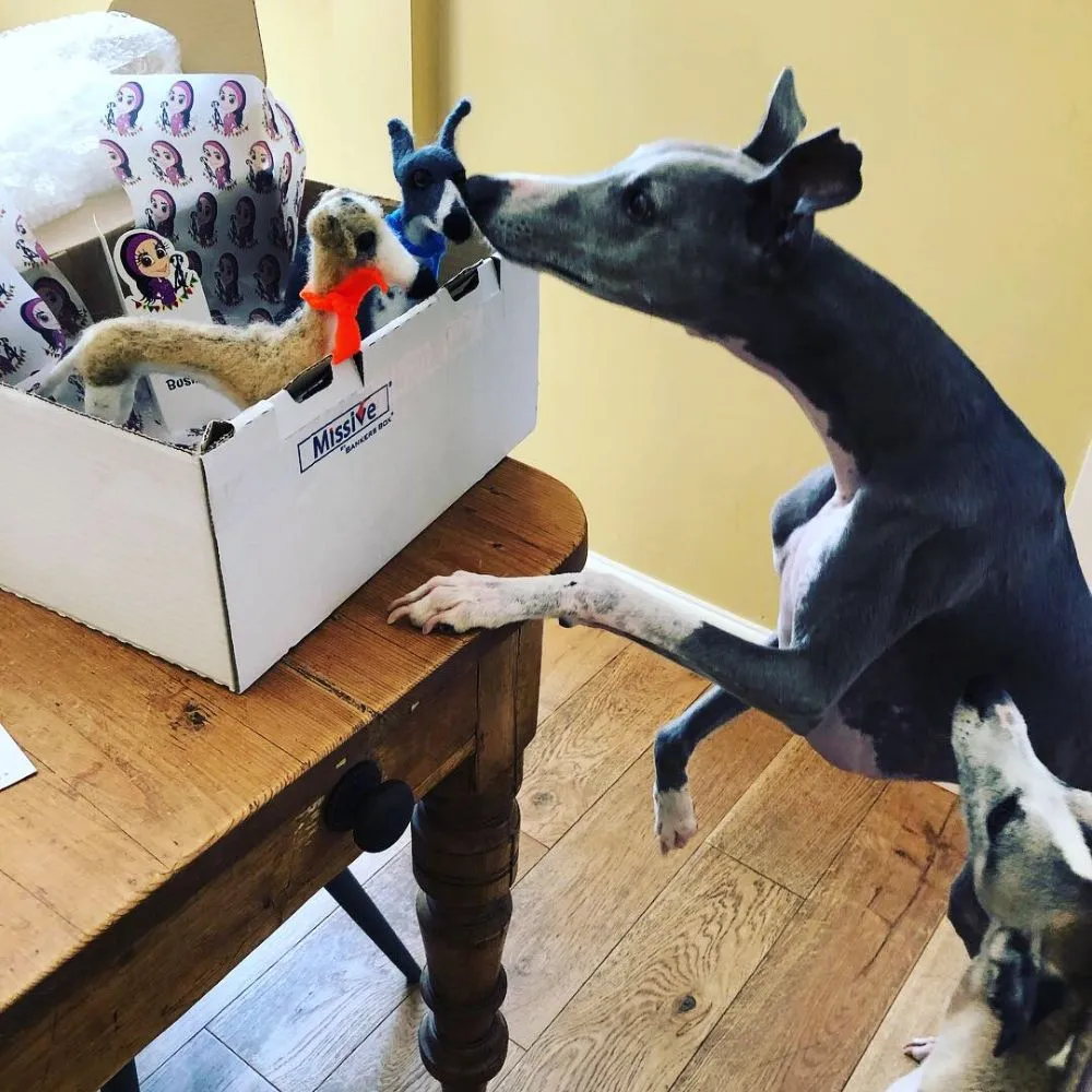 Custom felt whippet miniatures