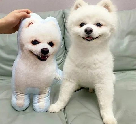 Custom pet pillow featuring a dog's photo, a comfortable Christmas present from dog to dad