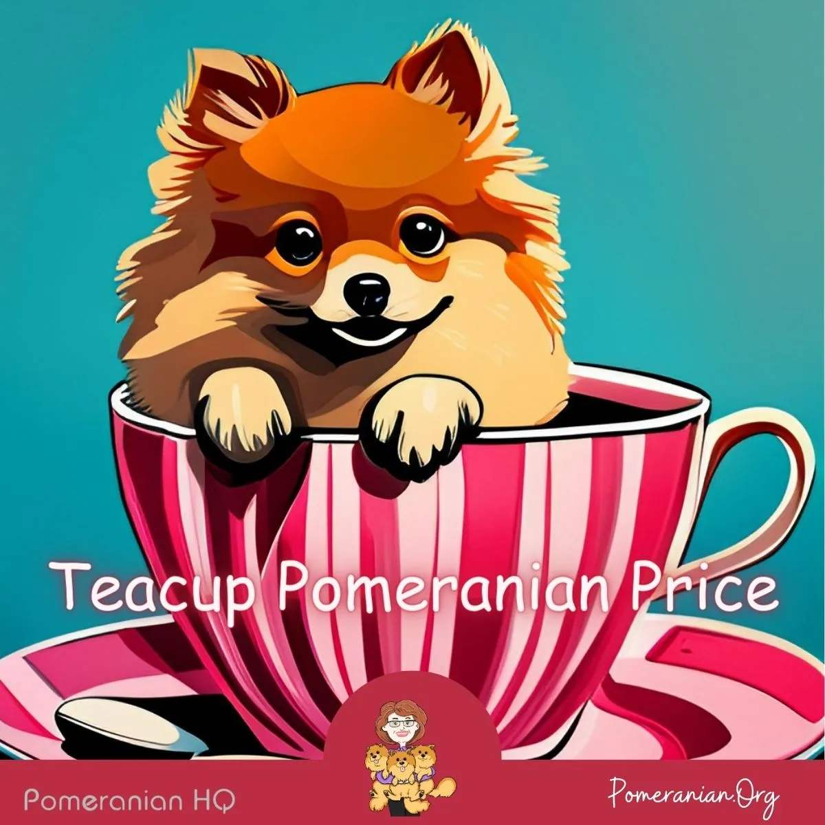 Cute Toy Pomeranian puppy with a bright expression