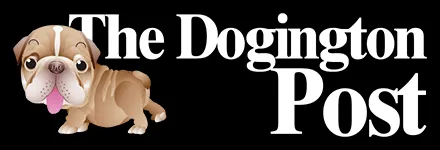 Dalmatian dog breed prone to urinary stones