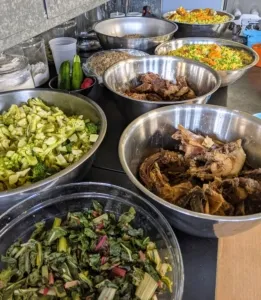 Displaying bowls filled with a variety of cooked vegetables and meats, ready for preparing healthy homemade dog food for large breeds.