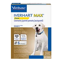 Dog being given a chewable treat