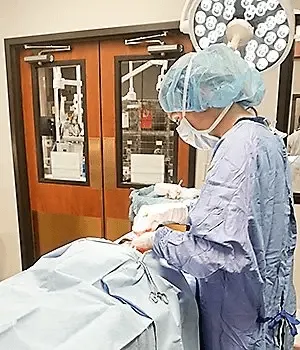 Dog Breeding Veterinarian Elective C-Section Surgery