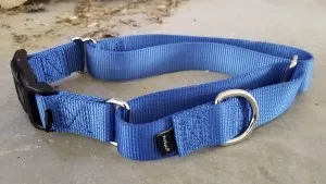 dog collar