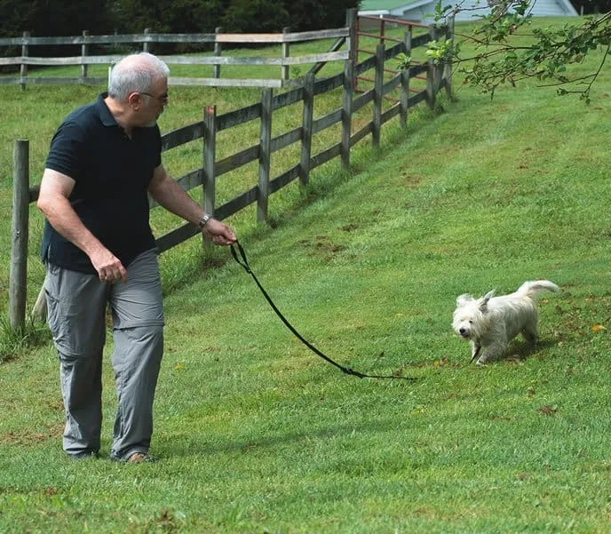 Dog handler playing the "Chase Me!" game on a long leash, practicing rocket recall dog training