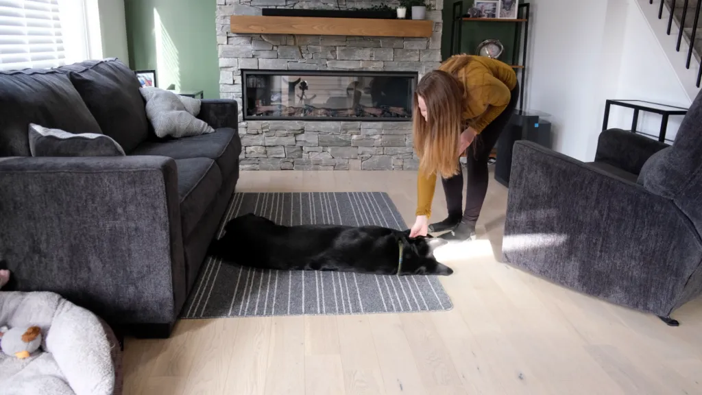 Dog happily performing the 'play dead' trick, lying on its side with its head down.