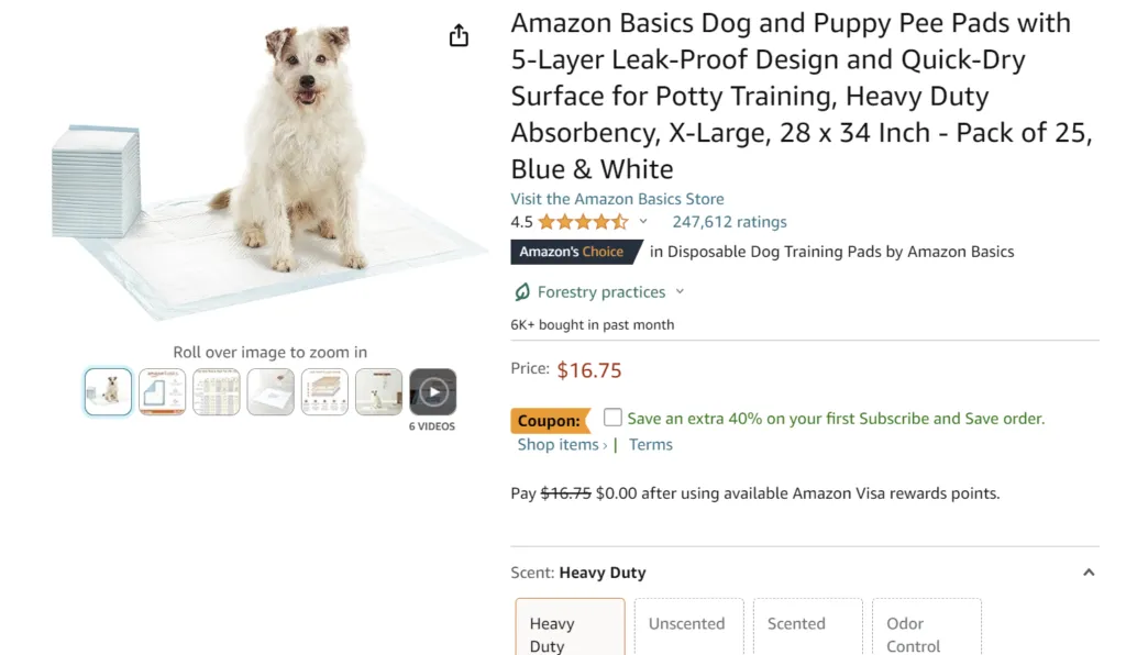 Dog looking curiously at a smartphone, symbolizing digital pet care services