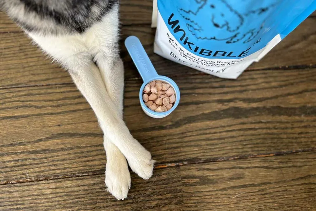 Dog next to UnKibble dog food