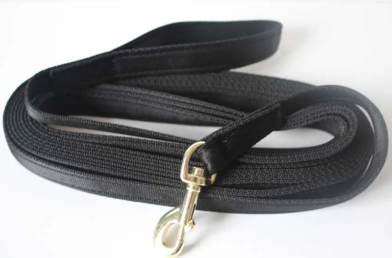 Dog on a long training lead.