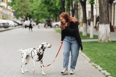 dog on walk with owner dog training