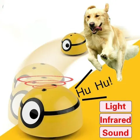 Dog playing with a moving toy