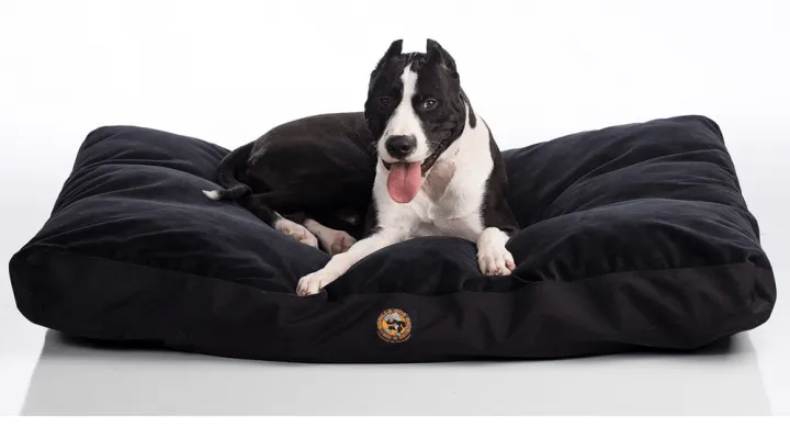 Dog sleeping comfortably on a heavy-duty chew-proof bed