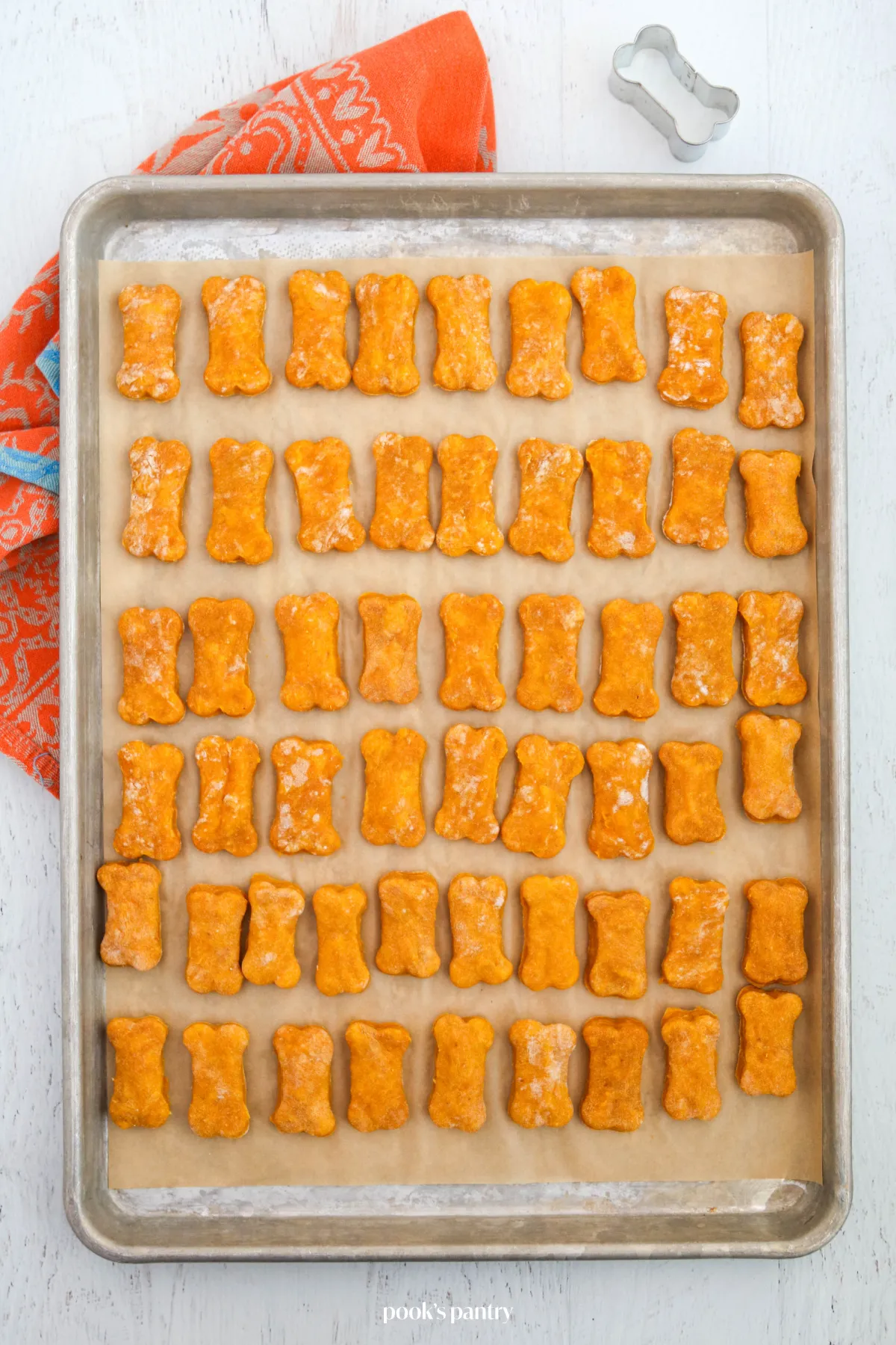 Dog treats on a baking sheet, indicating they are freshly baked