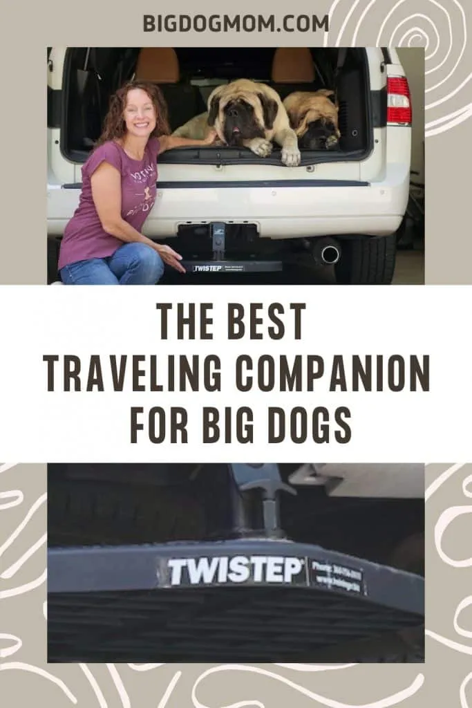 Dog Using Hitch Step