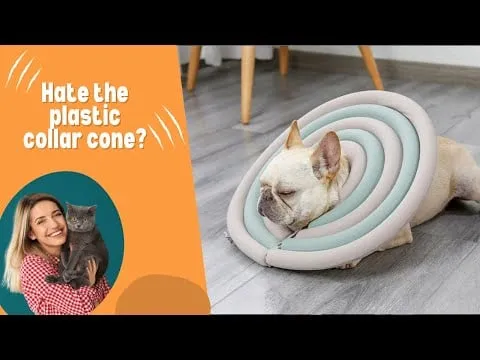 Doglemi Pet Recovery Collar