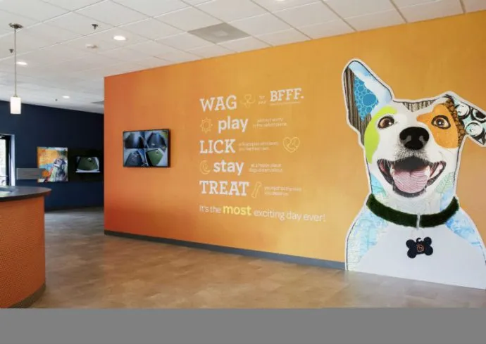 Dogtopia of Viera playrooms
