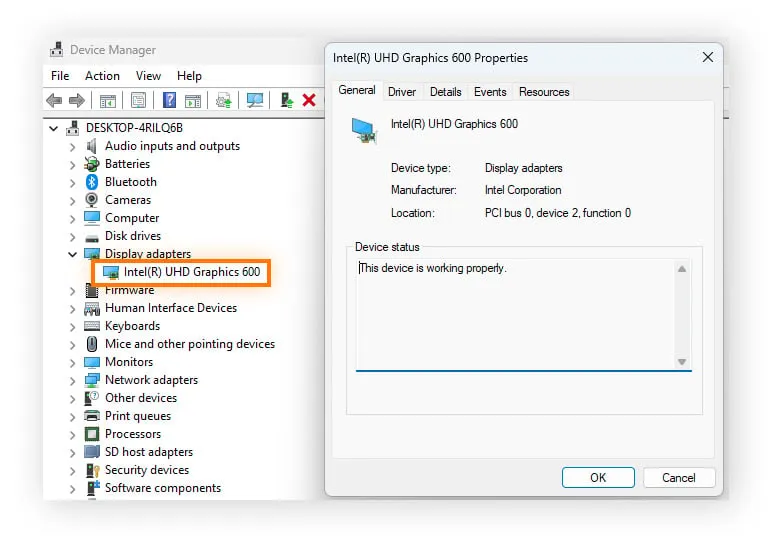 Double-click your graphics card for detailed information.