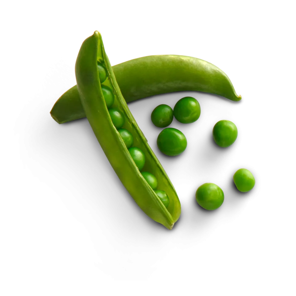 Dried peas for dog food, providing fiber and energy in Nutrish recipes