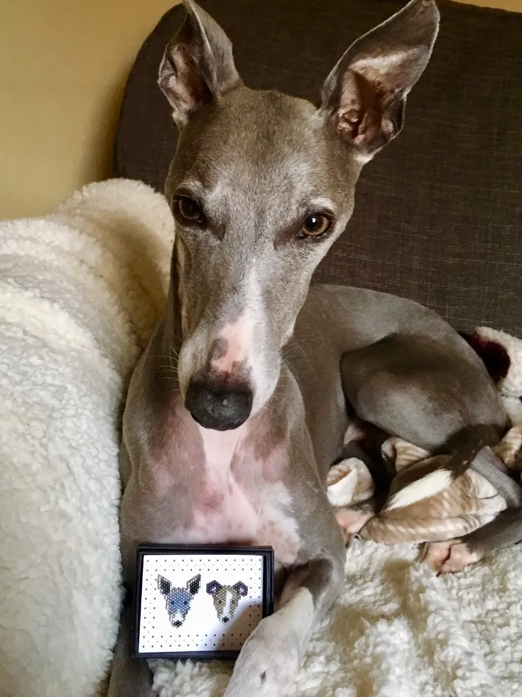 Elaine Graham's detailed enamel pins of dogs