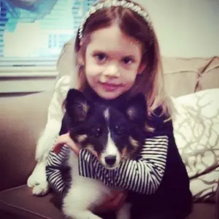 Eleus (aka Ellie) receiving attention from one of those miniature humans who seem so very playful.