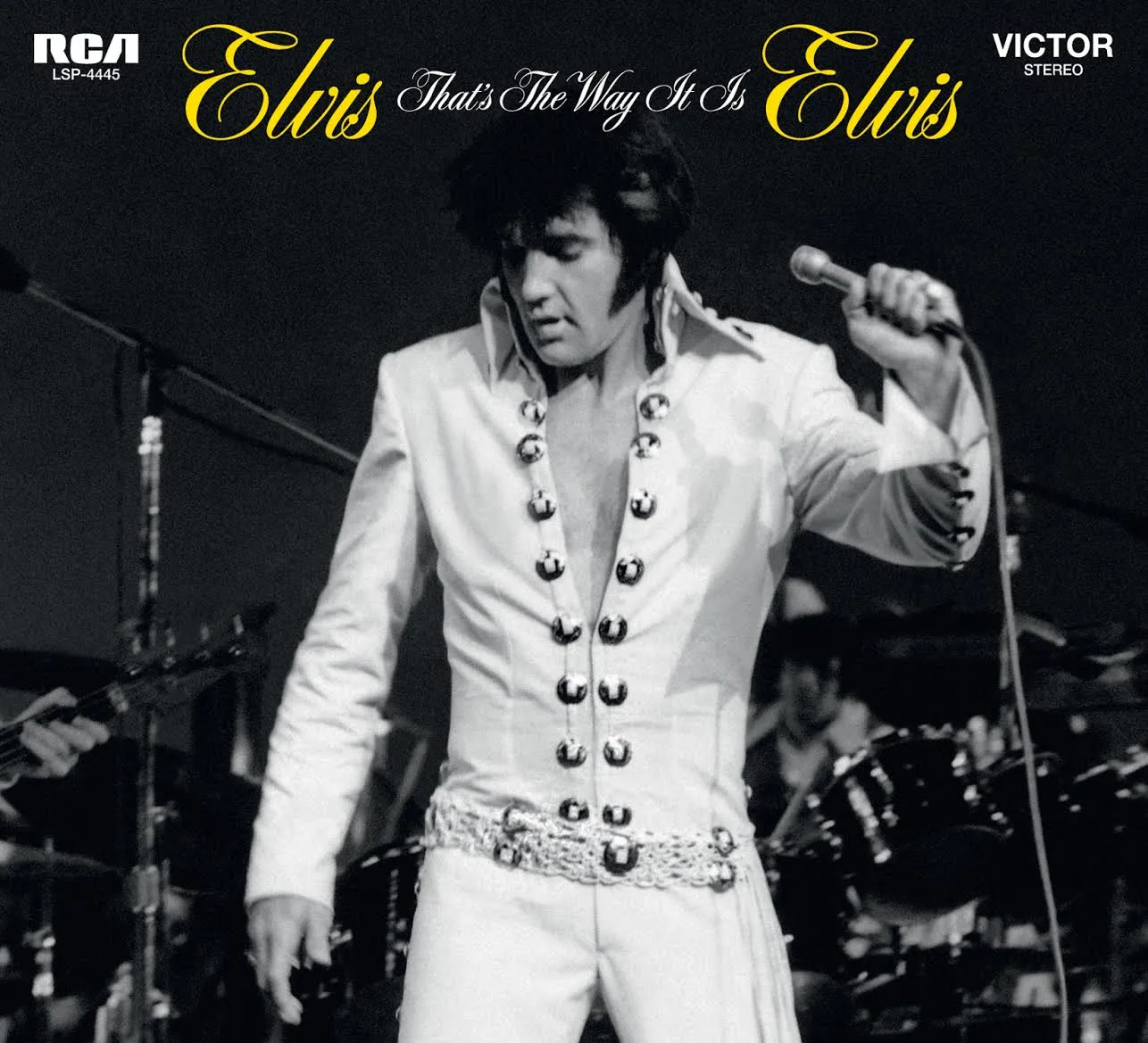 Elvis performing on stage