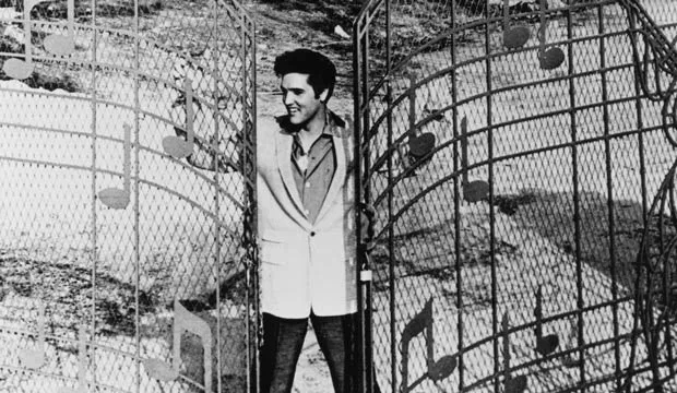 Elvis Presley performing Burning Love
