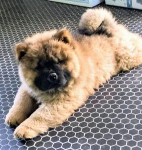 Emperor Han resting after exploring the stable offices