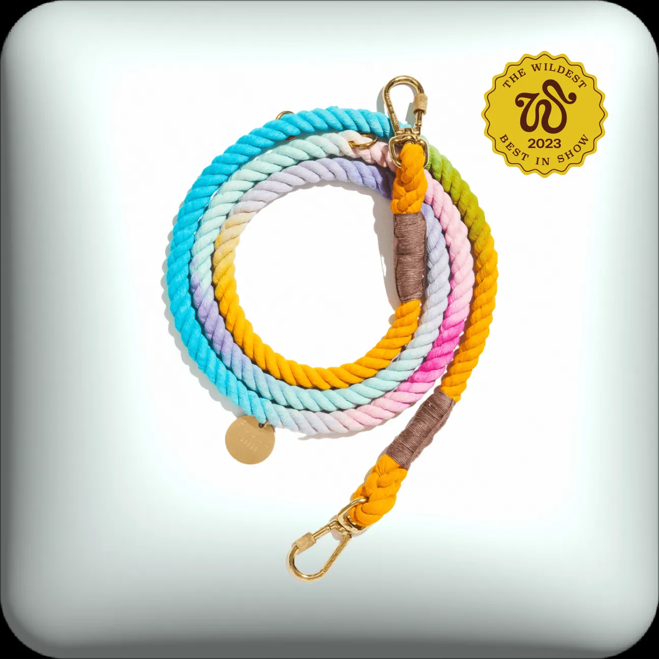 Found My Animal Ombre Cotton Rope Dog Leash, a stylish and charitable gift for dog dads